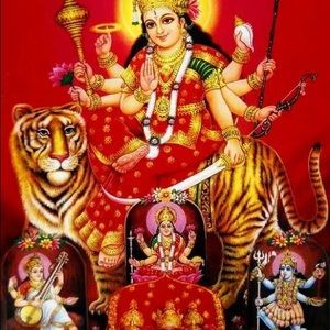 Meet your Posher, Rita